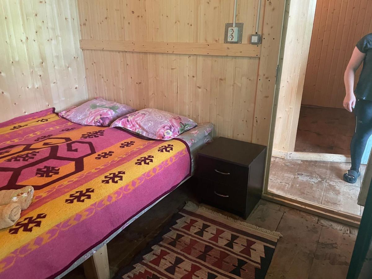 Gunter Guest House Adishi Екстер'єр фото