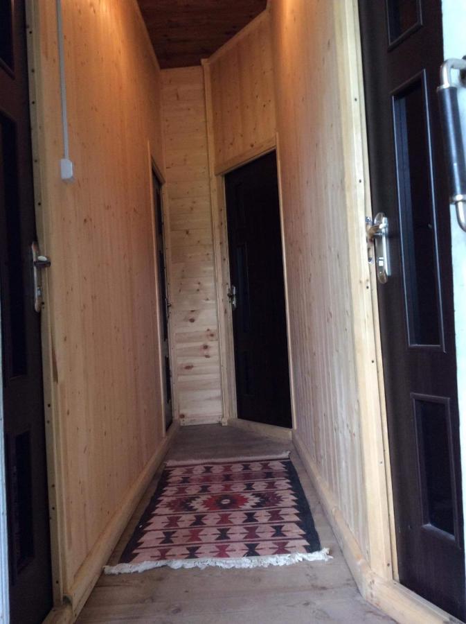 Gunter Guest House Adishi Екстер'єр фото