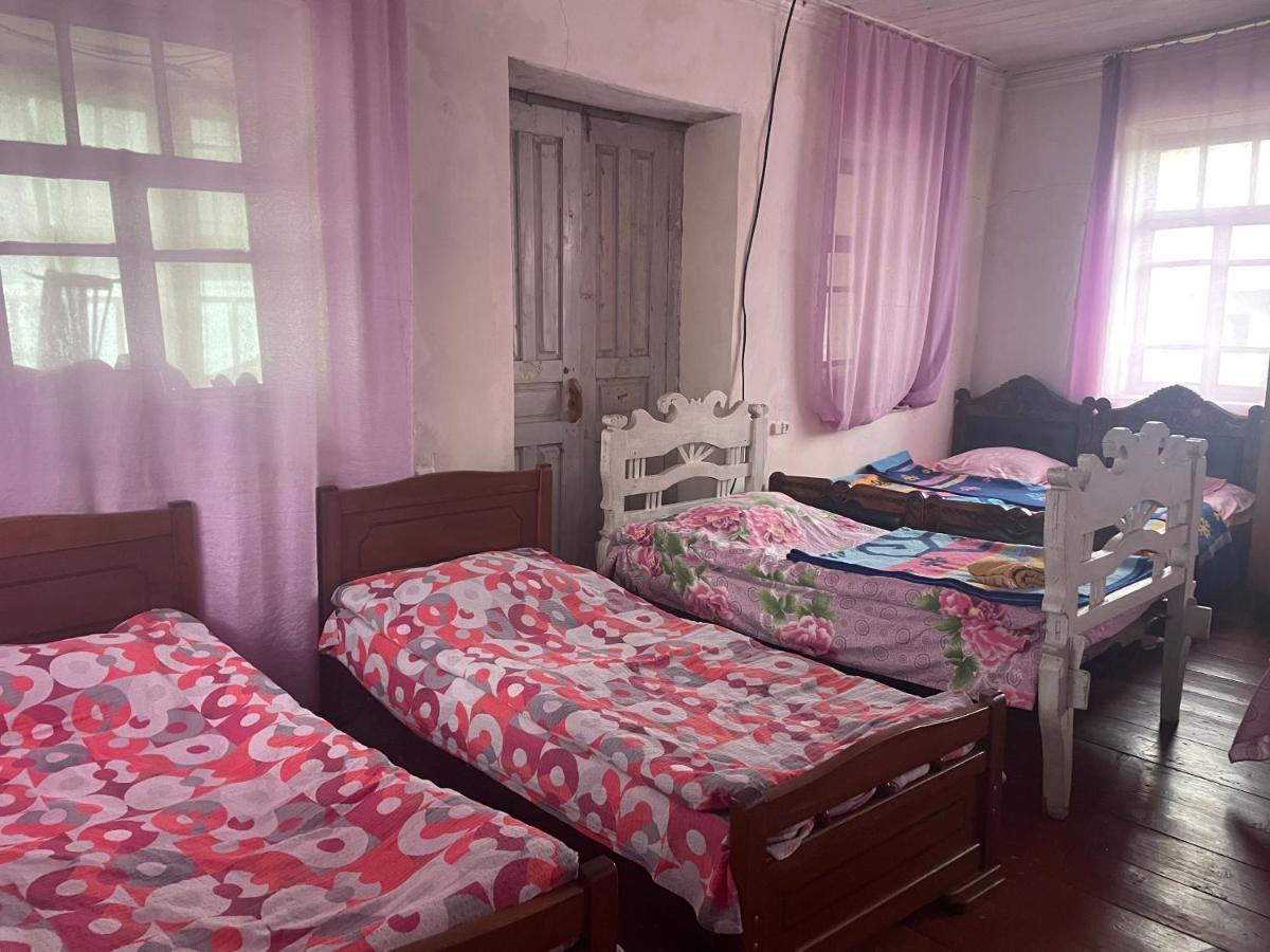 Gunter Guest House Adishi Екстер'єр фото